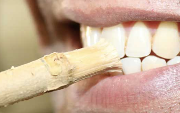 Le Siwak : L'Essence Naturelle pour des Dents Saines et Eclatantes